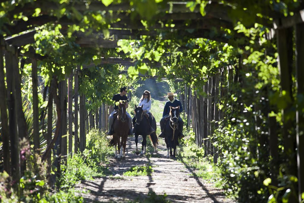 Hacienda Los Lingues Chile Valle De Colchagua Buitenkant foto