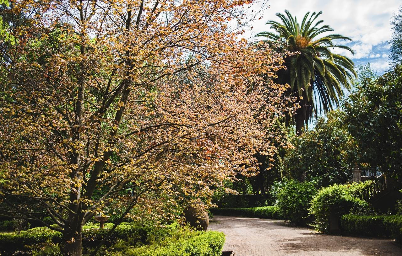 Hacienda Los Lingues Chile Valle De Colchagua Buitenkant foto