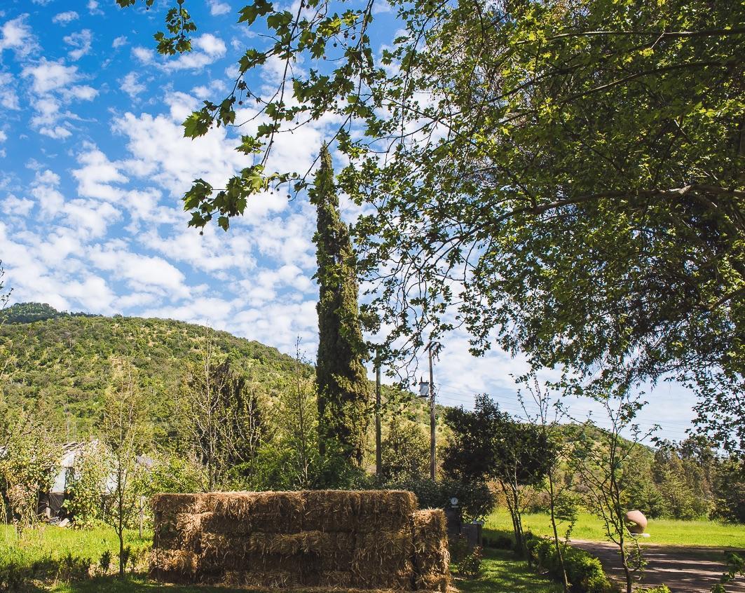 Hacienda Los Lingues Chile Valle De Colchagua Buitenkant foto